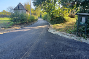 Asfaltirana nerazvrstana cesta uz kanal u Borovljanima