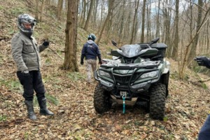 Žica između dva stabla u šumskom predjelu mjesta Mičetinac