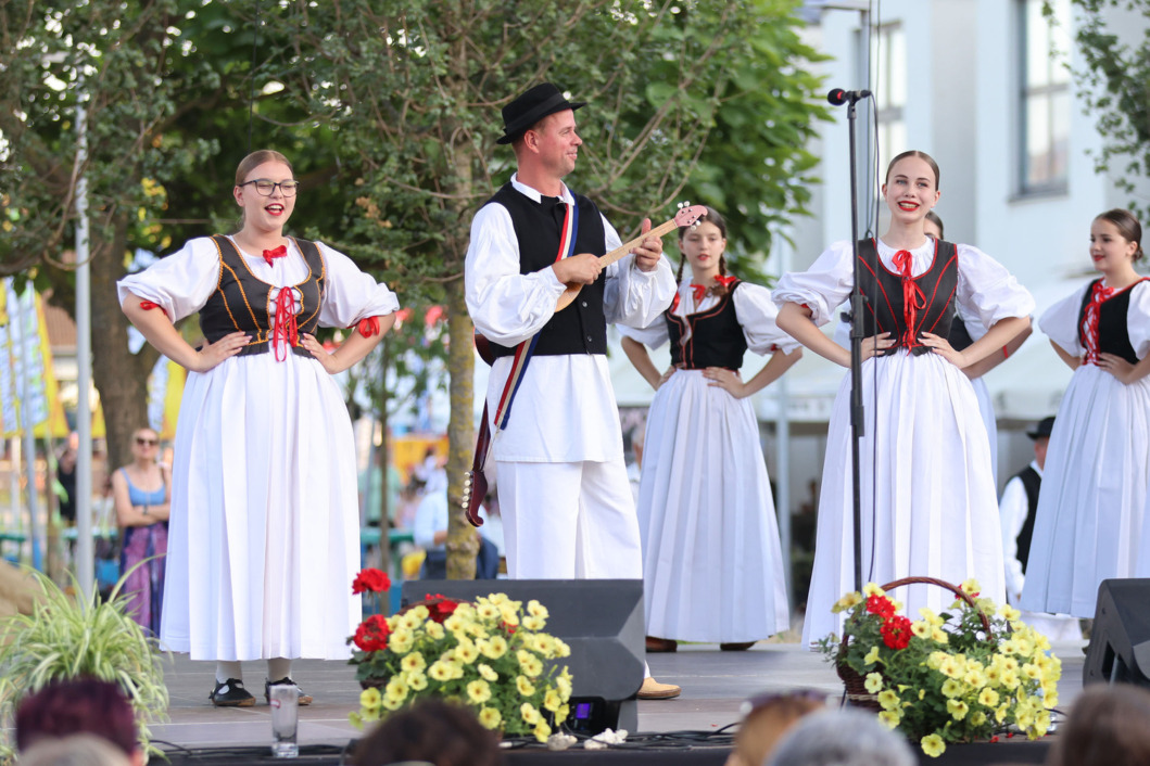 Festival folklora