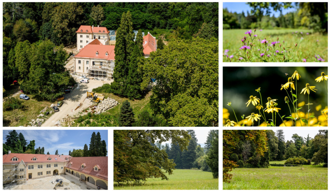 Arboretum Opeka, najstariji zaštićeni i najveći arboretum u Hrvatskoj koji okružuje istoimeni dvorac