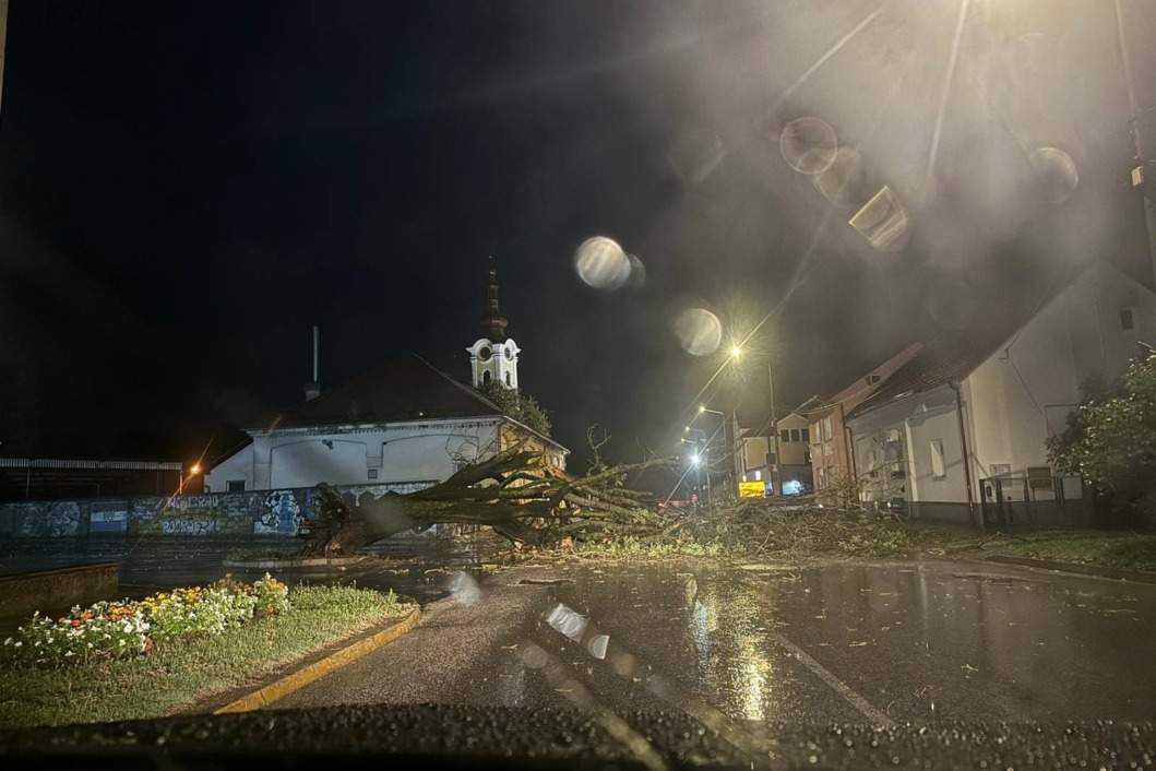 Srušeno stablo u Novigradu Podravskom