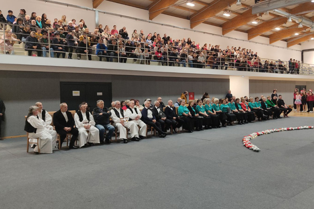 Božićni koncert u OŠ Andrije Palmovića