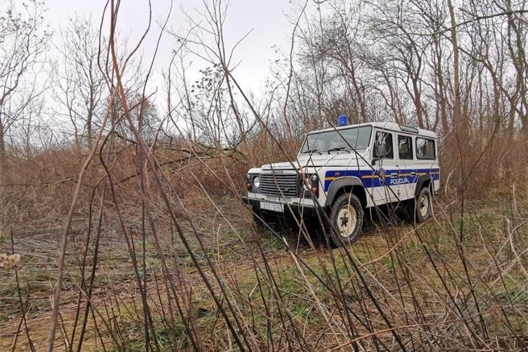 Patrola/šuma/policija